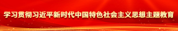 鸡巴捅美女逼骚叫视频国产学习贯彻习近平新时代中国特色社会主义思想主题教育